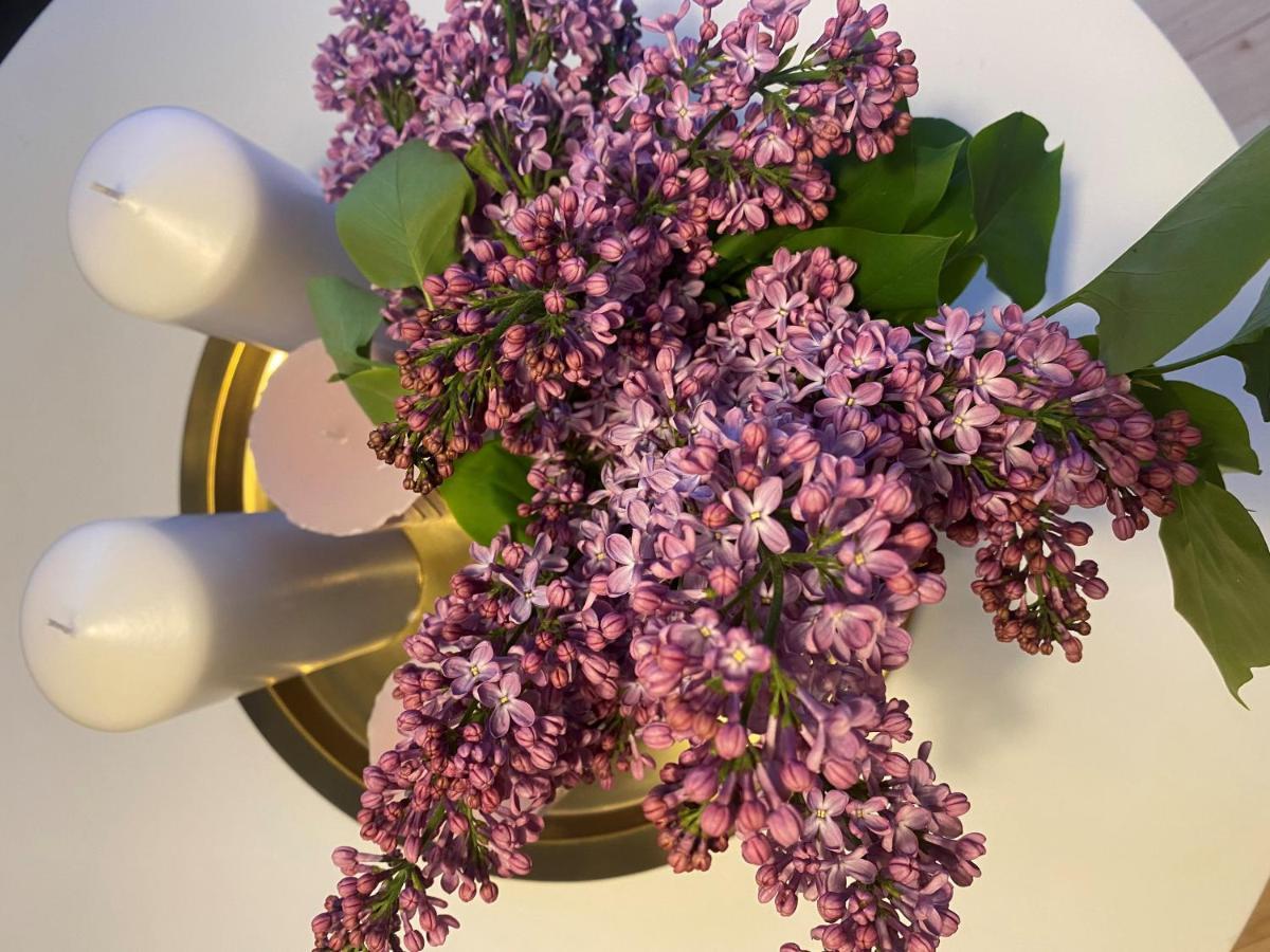 Apartament Aday - Dagmargade - Studio Kopenhaga Zewnętrze zdjęcie